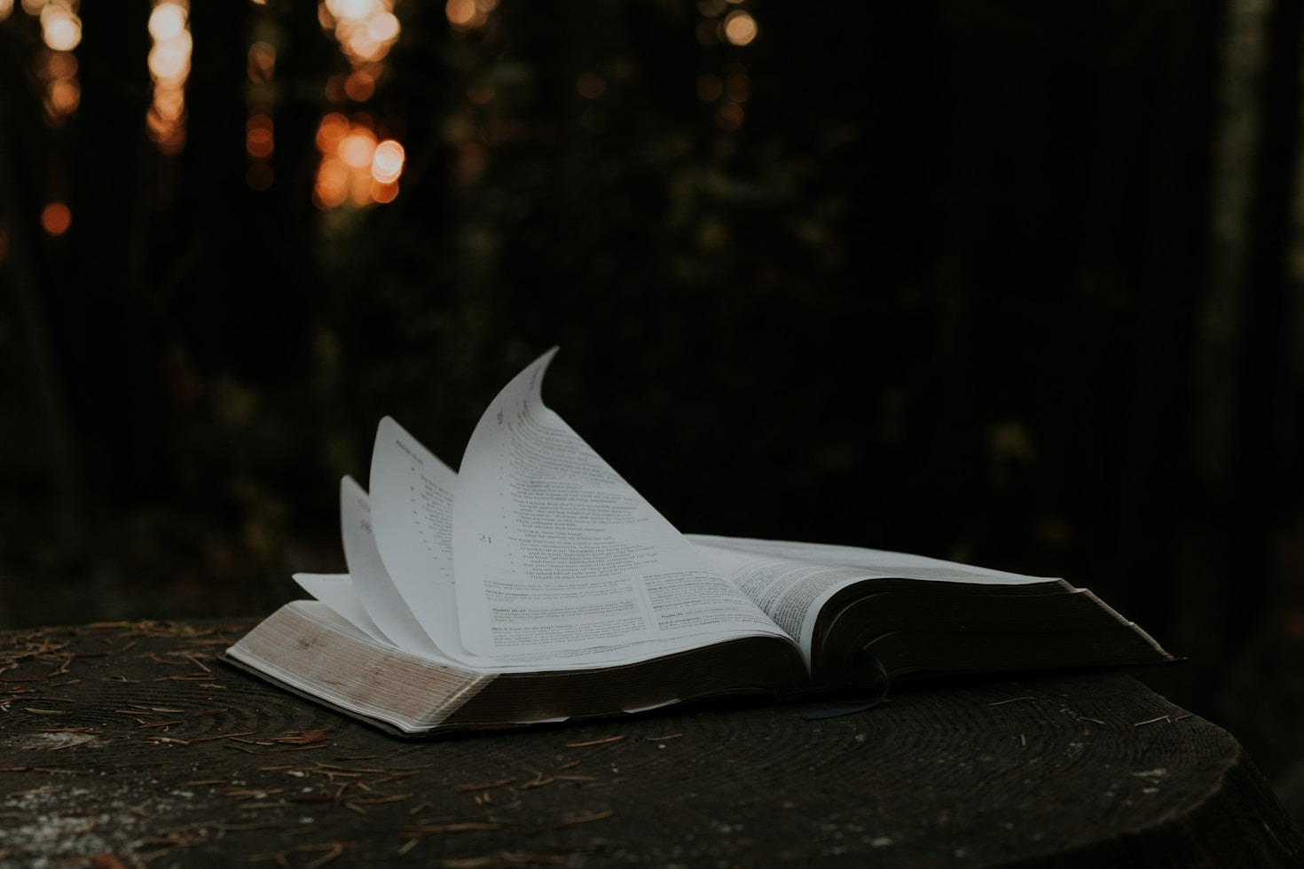 Top Ways to Foster Enlightenment Through Literature