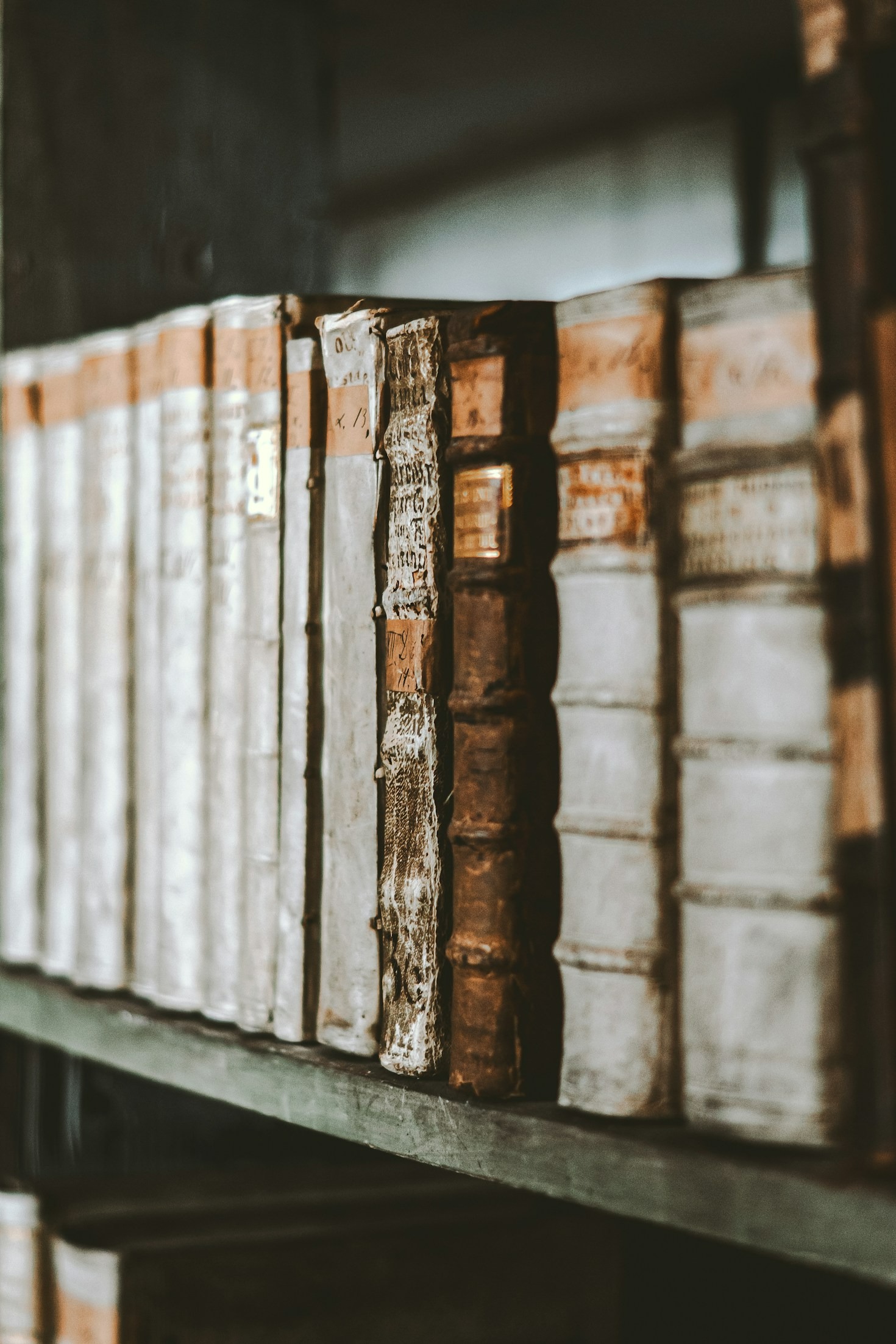 Navigating Life with Guidance from Sacred Texts